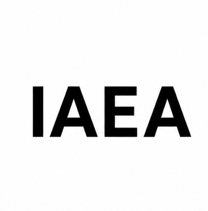 Experiences for Consideration in Fusion Power Plant Design Safety and Safety Assessment